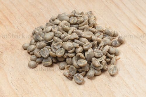 Granos de café oro