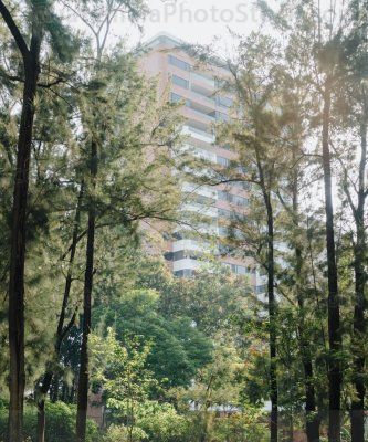 Arquitectura y naturaleza