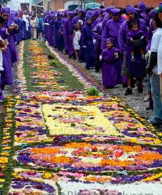 Cucuruchos y alfombra de aserrín