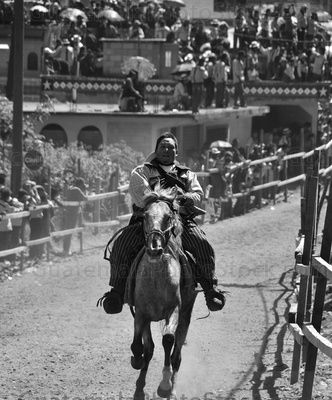 Carrera de caballos