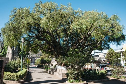 Parque central de Quetzaltenango