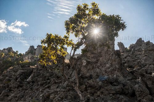 Cerro Quemado