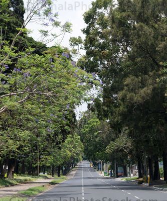 Las Americas, Zona 14