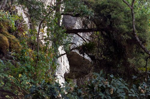 Cueva Campana Abaj