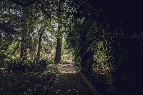 Sendero en el Jardín Botanico