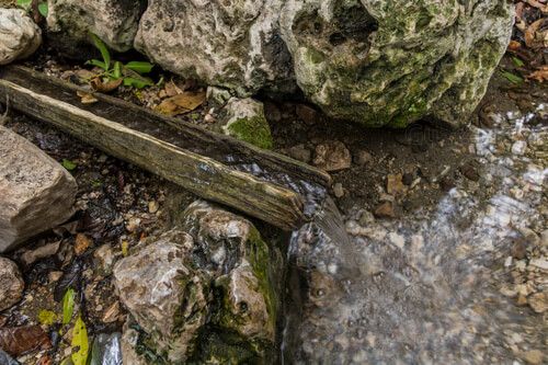 Nacimiento de agua