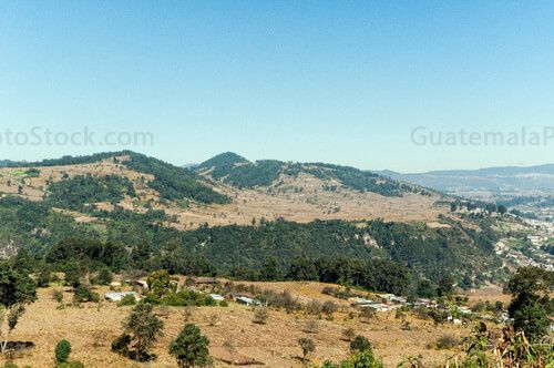 Campos agricolas