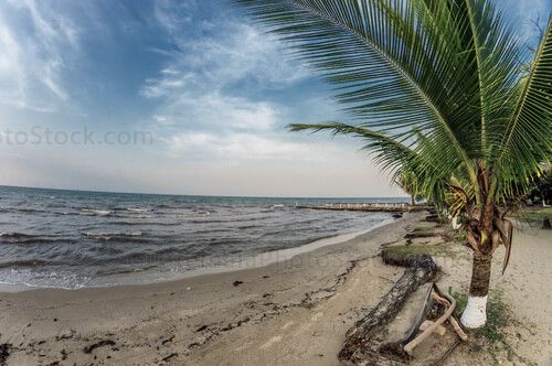 Playa Salvador Gaviota en Quehueche