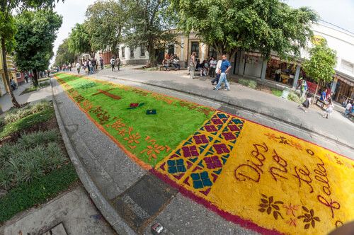 Alfombra del Paseo de la Sexta Avenida