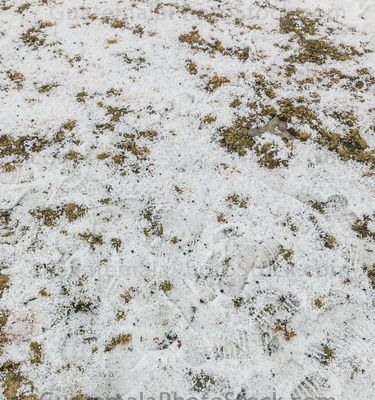 Granizo en la cima de los Cuchumatanes