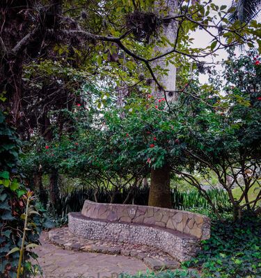 Jardinización en el Cerrito del carmén