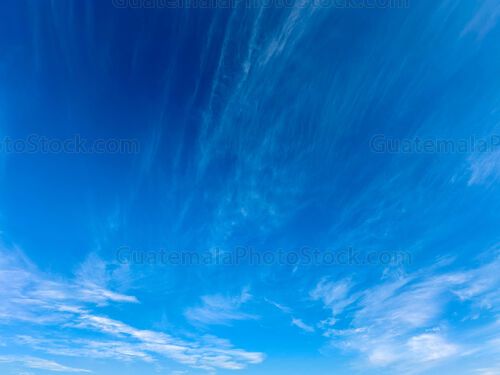 Cielo