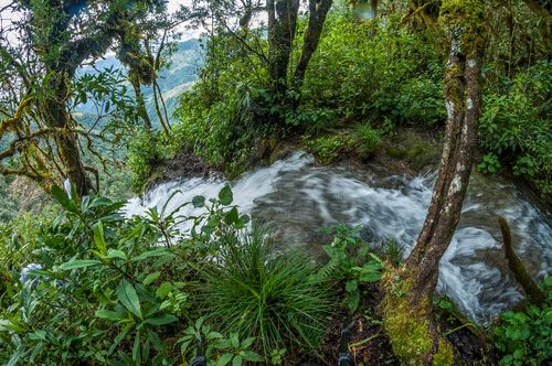 Río que desagua la Laguna Magdalena