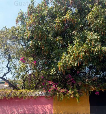 Antigua Guatemala, Sacatepéquez