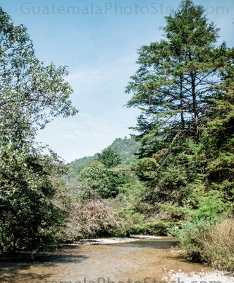 San Francisco Las Flores