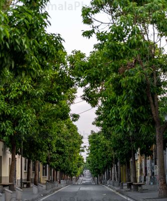 Sexta Avenida, Centro Histórico, Zona 1