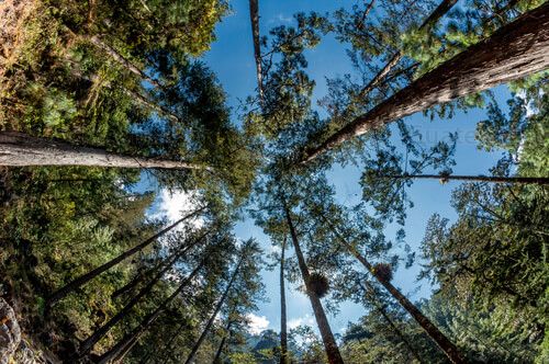 La Maceta Todos Santos Cuchumatán