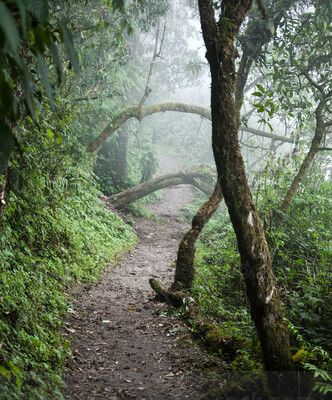 Sendero alrededor de la Laguna de Chicabal