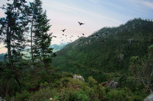 Mirador Puerta del Cielo