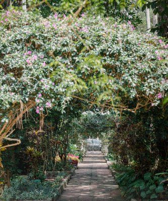 Sendero dentro del Jardín Botanico