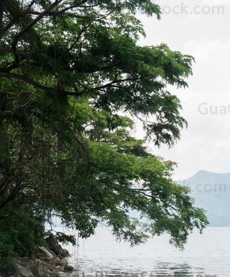 Laguna de Ayarza