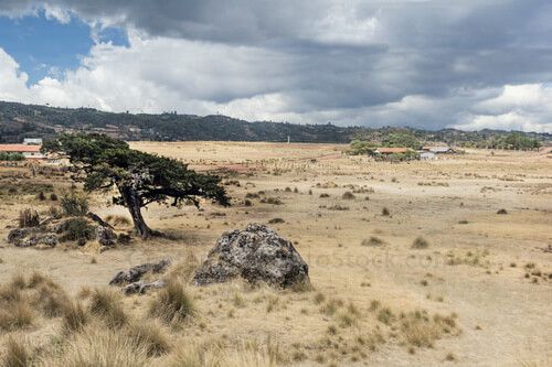 Cima de los Cuchumatanes