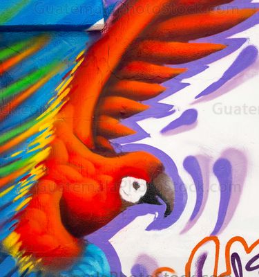 Guacamaya, Graffiti efímero en la quinta avenida de la Ciudad de Guatemala