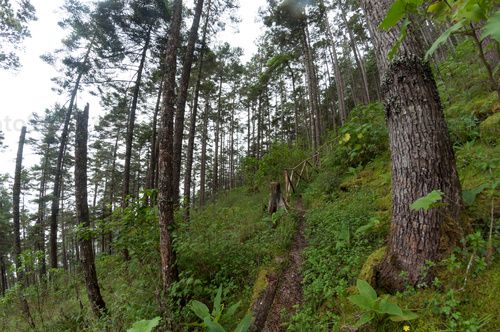 Sendero Puerta del Cielo