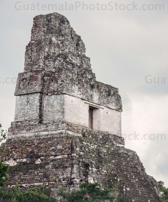 Templo I, Gran Jaguar