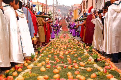 Alfombra de aserrín, pino y frutas