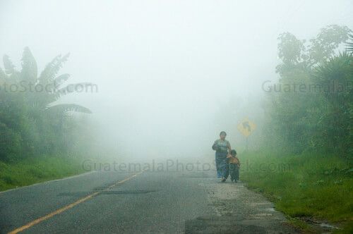 Caminando entre la neblina