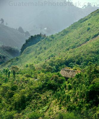 Sierra de Chamá