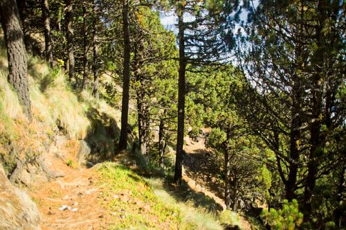 Camino a la corona del Volcán de Agua