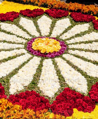Alfombra de aserrín y flores