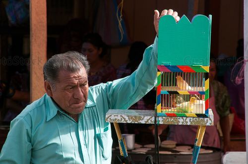 Adivino con una ave