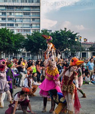 Suspiros de la ciudad