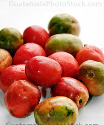 Jocotes