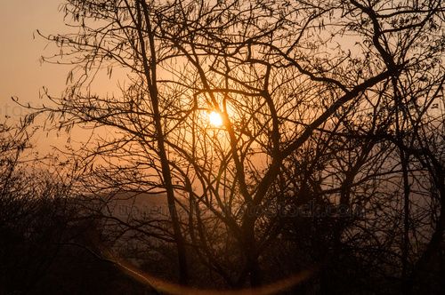 Sol al atardecer
