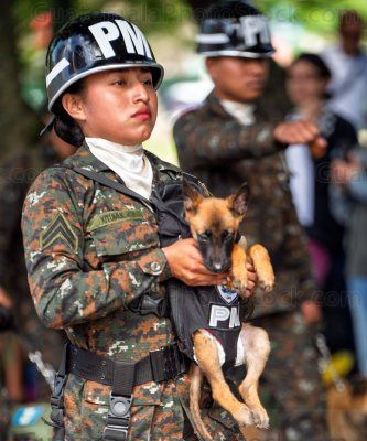 Policia Militar Canina