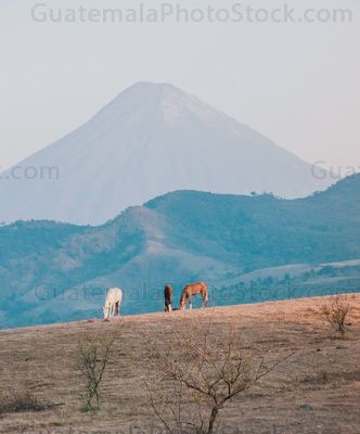 Volcán de Agua