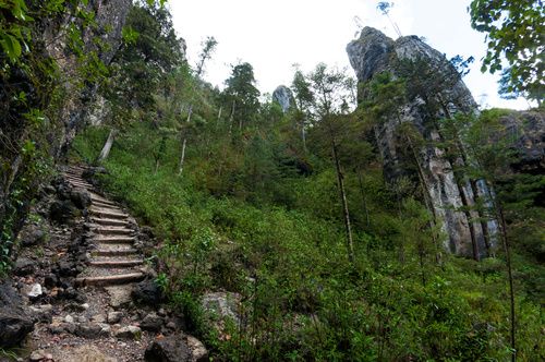 Sendero La Maceta