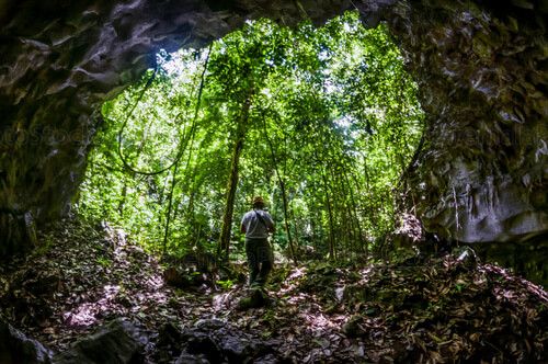 Complejo D, Cueva de la Danta o Tapir