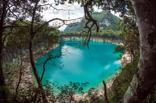 Cenote de Laguna Brava