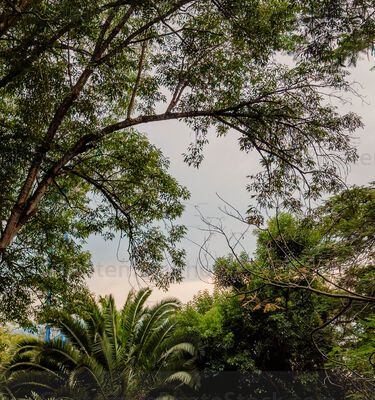 Jardinización en el Cerrito del carmén