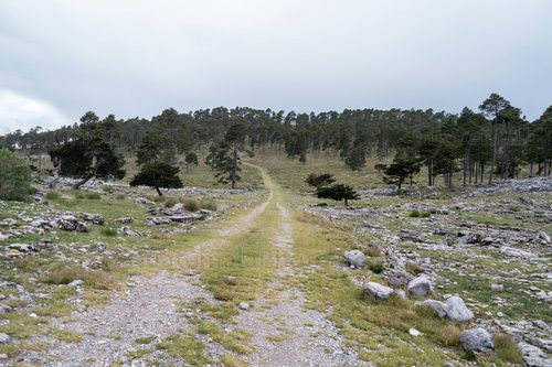 Sierra de los Cuchumatanes, Huehuetenango