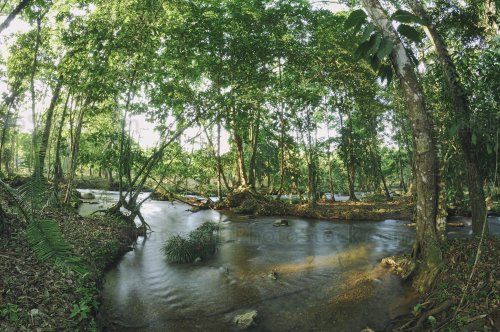 Río en la Franja Transversal del Norte