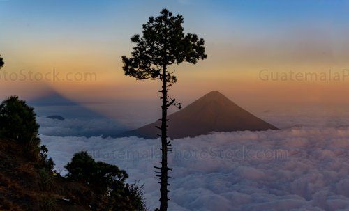 Frente a la sombra del gigante Volcán de Agua