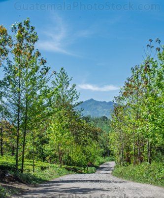 Campo agricola de la Cooperativa Chirrepec