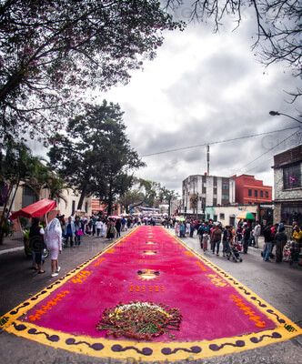 Alfombra en la Ciudad de Guatemala