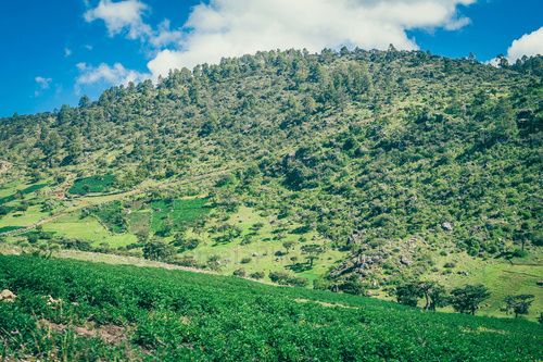 Montañas de la Sierra de los Cuchumatanes